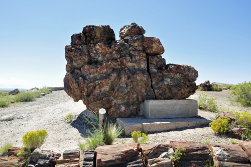 the base of Old Faithful in the Petrified Forest